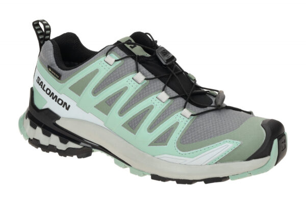 Salomon XA PRO 3D V9 GTX 478231 grau - Sportschuhe f?r Damen