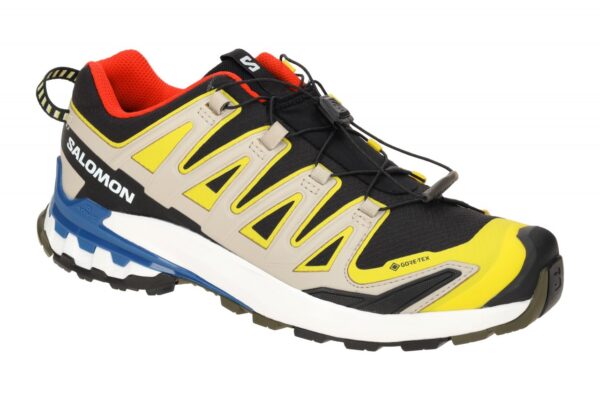 Salomon XA PRO 3D V9 GTX 471190 kombi - Sportschuhe f?r Herren